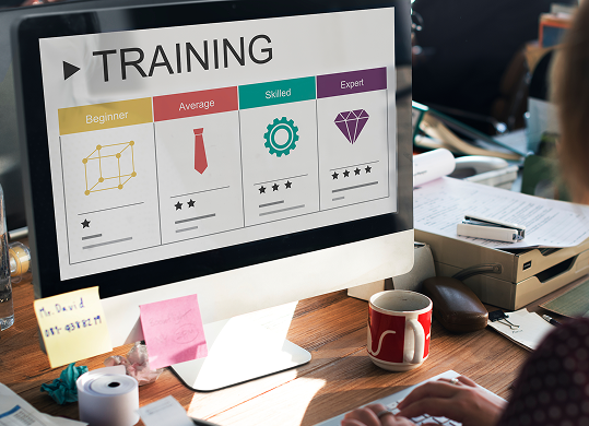 Training Image